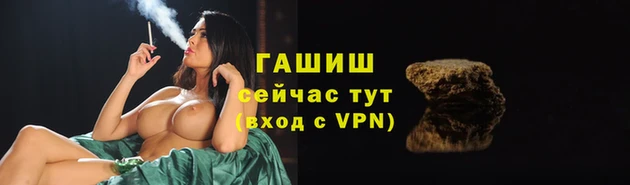 альфа пвп Новодвинск