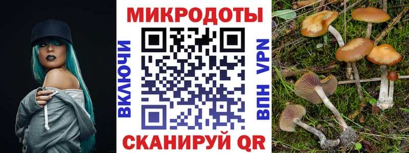 где купить наркотик Сосновоборск ссылка на мегу маркетплейс Псилоцибиновые грибы Psilocybe