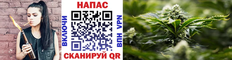 где продают наркотики Сосновоборск Марихуана конопля